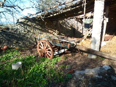 P1070019