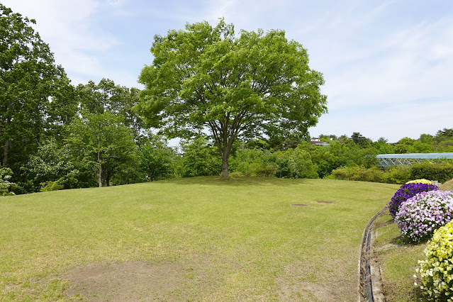 鳥取県西伯郡南部町鶴田 とっとり花回廊 プロムナード橋からの眺望