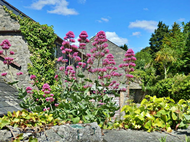 Old cottage, Cornwall