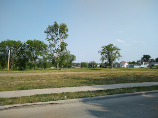 large field of grass with trees in the background