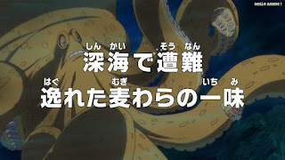 ワンピースアニメ 魚人島編 525話 | ONE PIECE Episode 525