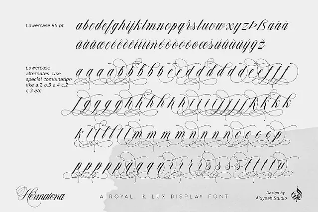 Hermaiona Calligraphy Font