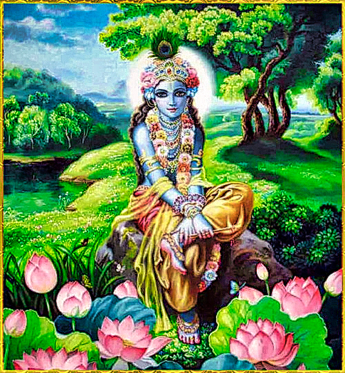 Krishna's Will is that We Return to Him, Are You Ready to Go?