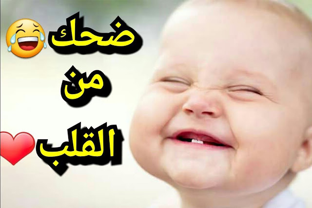 أقوي نكت لسنة 2019 _ اضحك من قلبك