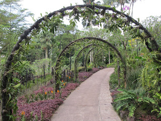 National Orchid Garden, Singapore