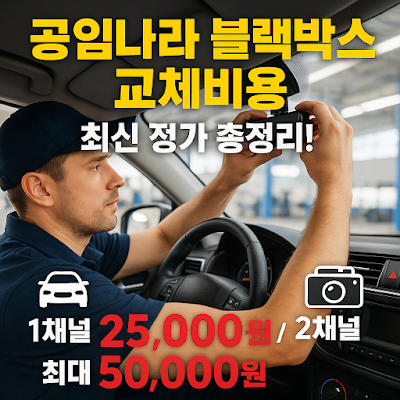 공임나라 블랙박스 교체비용 썸네일 이미지입니다.