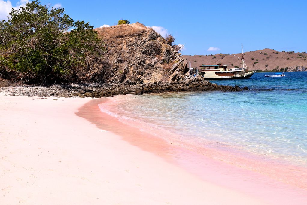 plaža_indonezija_ružičasto_otok-komodo_putovanja_zanimljivosti
