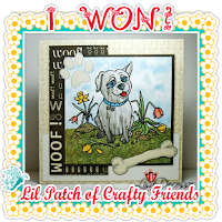 http://lilpatchofcraftyfriends.blogspot.ca/2016/04/lpocf-30-winners-top-3.html