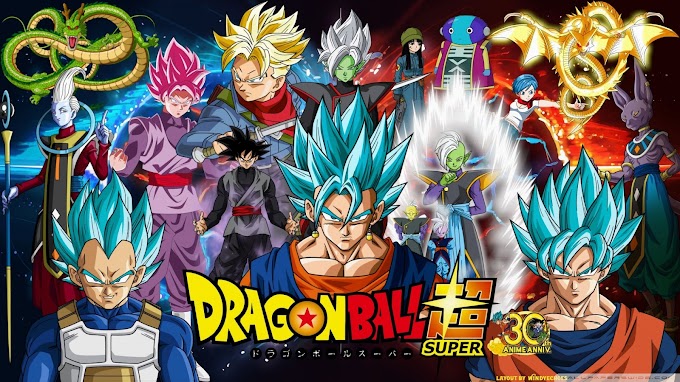 Dragon Ball Super HINDI Subbed Episodes (HD) - Hinditoonz