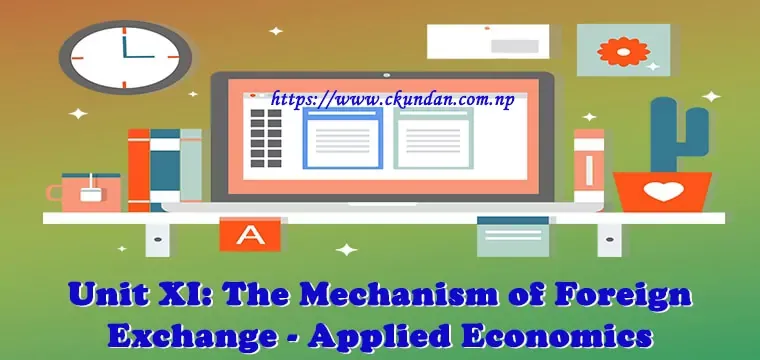The Mechanism of Foreign Exchange - Applied Economics