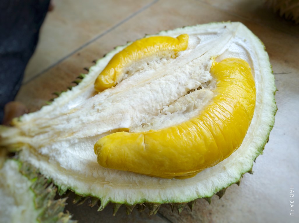 Isi Durian Musang King