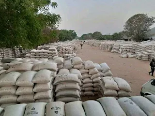 Soya Beans Producing States in Nigeria