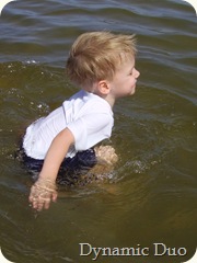 gus splash happy