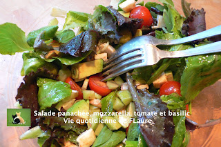 Vie quotidienne de FLaure: Salade panachée, mozzarella, tomate et basilic