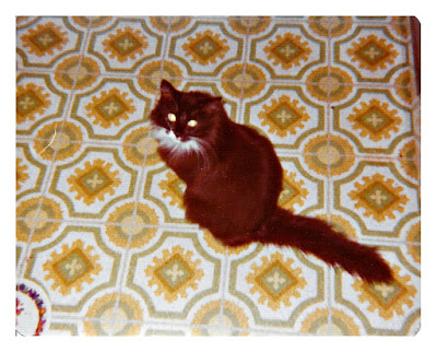 Vintage picture of a cat relaxing on some really cool retro linoleum and eating off a Villeroy and Boch plate in 1977 at 1776 Sweetwood Drive in Broadmoor, California
