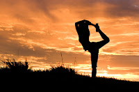 vinyasa yoga teacher training intensive course