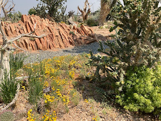 rock garden and flowers