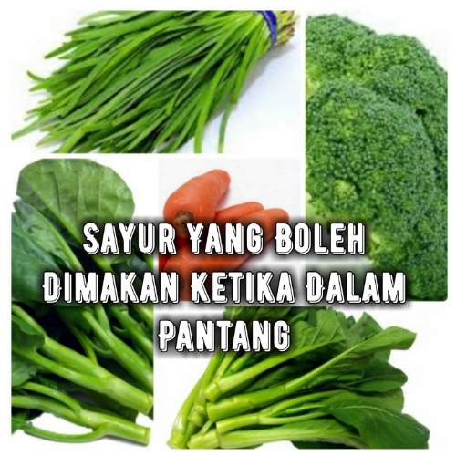 Sayur Yang Boleh Dimakan Ketika Dalam Pantang