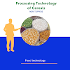 Processing technology of cereals