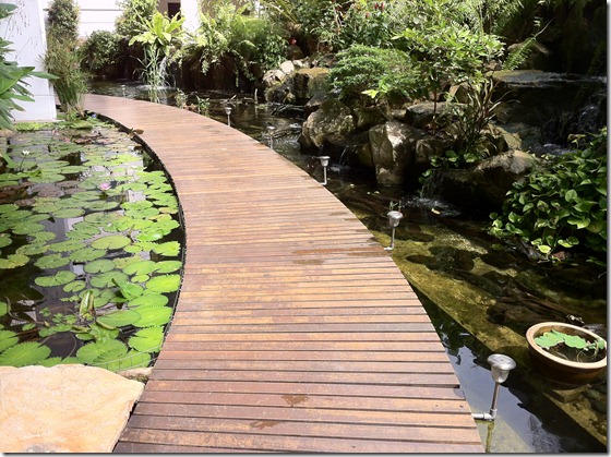 Boardwalk to allow you to get up close to the plants