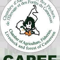 19 Formations gratuites dans les domaines de l'agriculture, de la pêche, de l'élevage et des forêts