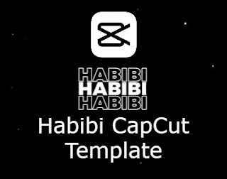 habibi capcut template
