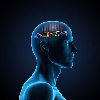 How can brain read DNA
