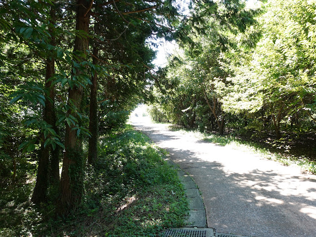 むきばんだ史跡公園の弥生の森遊歩道