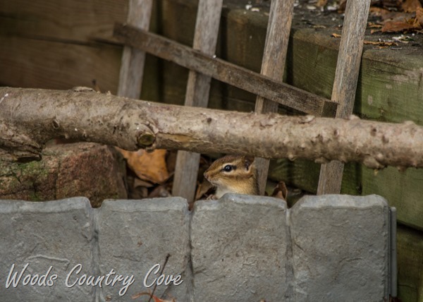 NOVEMBER 2015 (38 of 45)