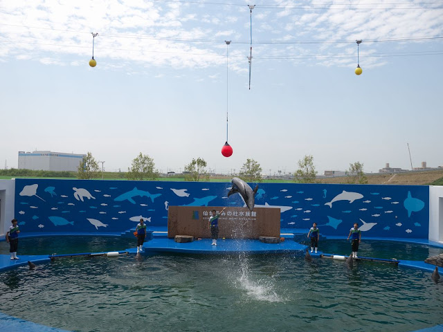 仙台うみの杜水族館 イルカショー ハイジャンプ・ボールキック