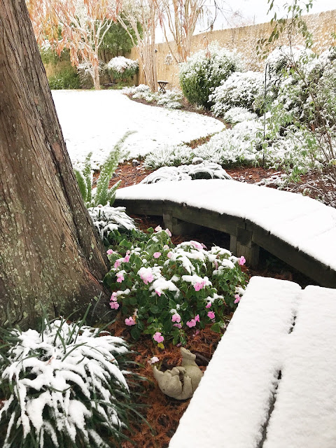 texas snow 2017