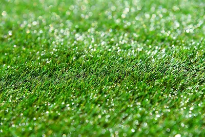 Evite pisar no gramado quando estiver congelado ou coberto de neve, pois isso pode causar danos às raízes. Além disso, evite deixar objetos pesados, como móveis de jardim, sobre a grama por longos períodos, pois isso pode sufocar o gramado e impedir o crescimento saudável na primavera.