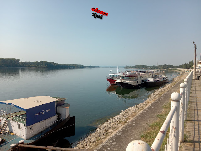 Кораби при ниско ниво на река Дунав край Видин - 22.07.2022