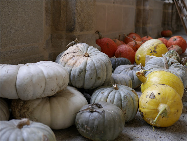 étonnantes citrouilles au cloître Saint-Sauveur de Redon