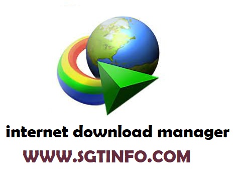 internet download manager IDM