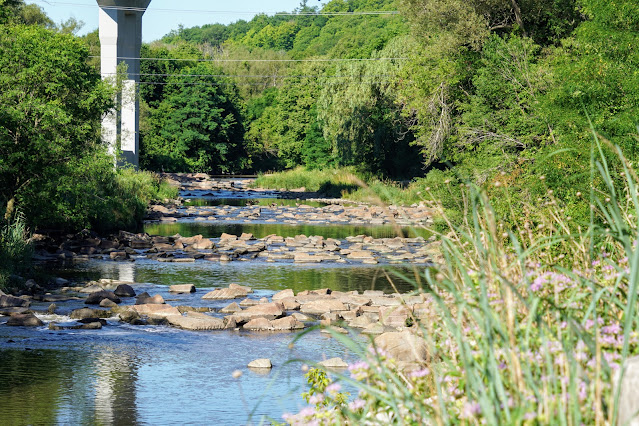 Bridge over Highland Creek near U of T Scarborough Campus