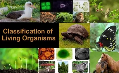 Classification of living Things