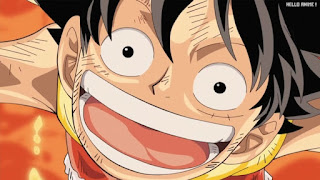 ワンピースアニメ 頂上戦争編 480話 ルフィ 笑顔 Monkey D. Luffy | ONE PIECE Episode 480