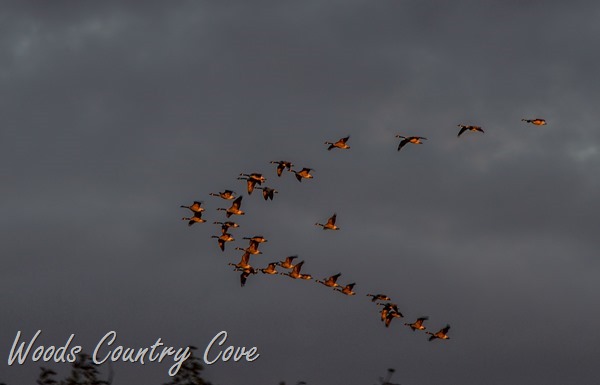 OCTOBER 2015 (17 of 24)