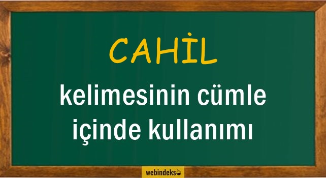 Cahillik İle İlgili Cümleler, Cahil Kısa Cümle İçinde Kullanımı