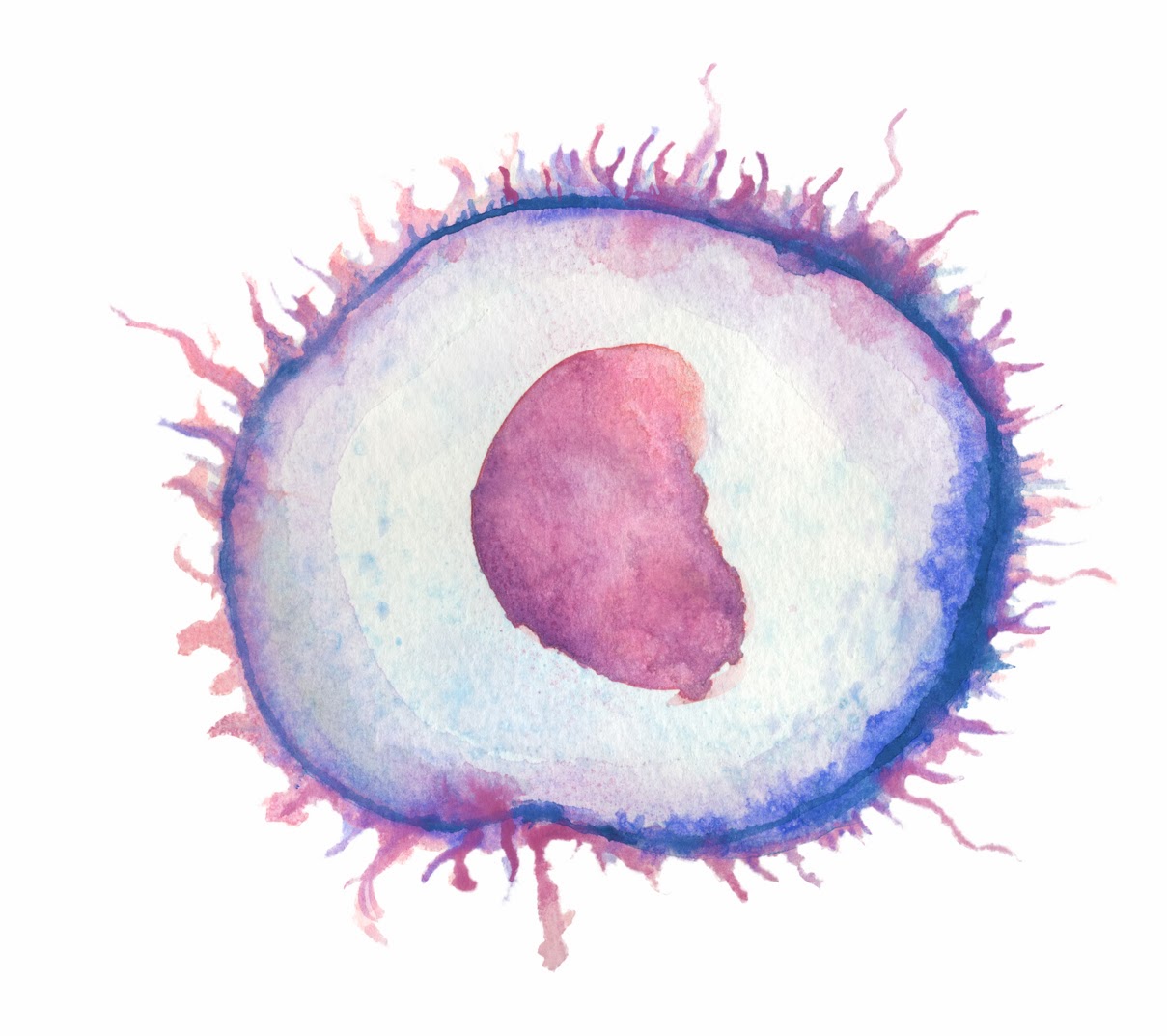 Natural Killer T-Lymphocyte Illustration