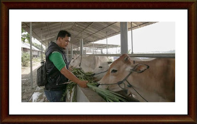 Rizki Hamdani Penggagas Kelompok Santri Tani Milenial