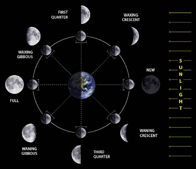 moon phases in order. moon tonight, if able.