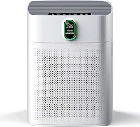 Morento HY4866 Air Purifier, image, review features compared on best air purifiers under $200