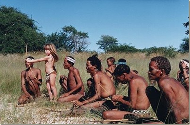 Tippi 4