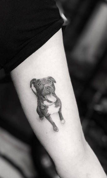 130 incríveis tatuagens de cachorro para inspirar vocês!