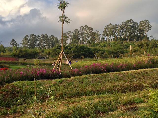 [Travell Destination] Dusun Bambu Family Leisure Park