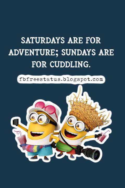 saturday fun quotes and saturday funny quotes