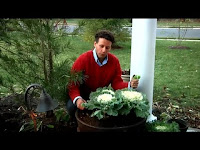 Spacious Winter Container Garden Ideas Fall Flowers