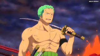 ワンピースアニメ パンクハザード編 579話 ロロノア・ゾロ Roronoa Zoro | ONE PIECE Episode 579